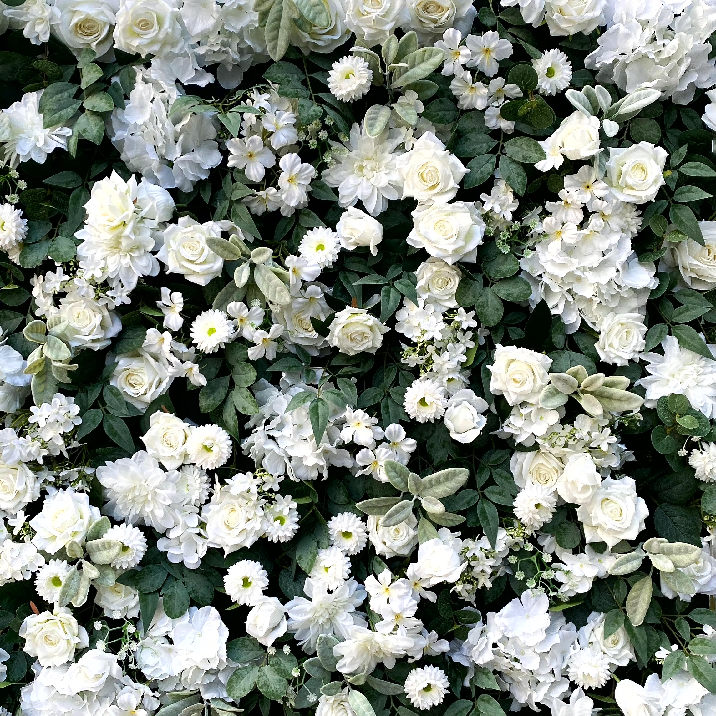 GEORGINA FLOWER WALL